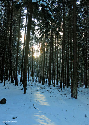 Feldberg 17. Januar 2016