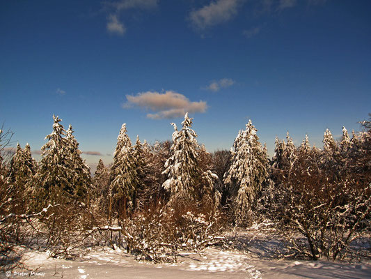 Feldberg Februar 2009