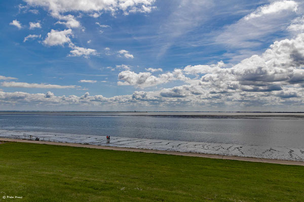 Nationalpark Niedersächsisches Wattenmeer