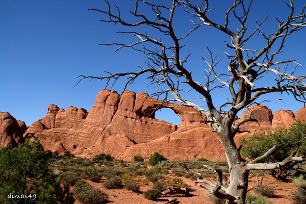 Skyline Arch