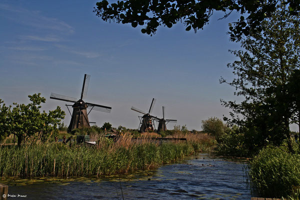 Die Mühlen von Kinderdijk, Mai 2010