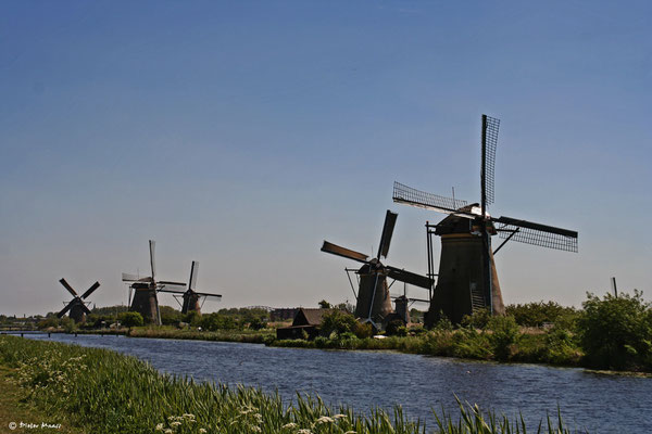 Die Mühlen von Kinderdijk, Mai 2010