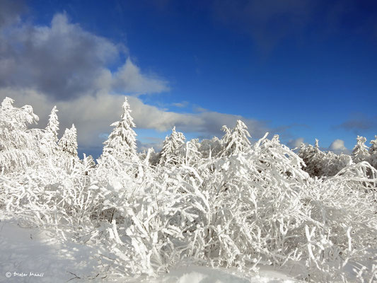 Feldberg 17. Januar 2016