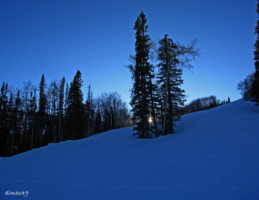 Aspen / Snowmass, Jan 2009