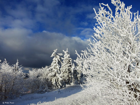 Feldberg 17. Januar 2016