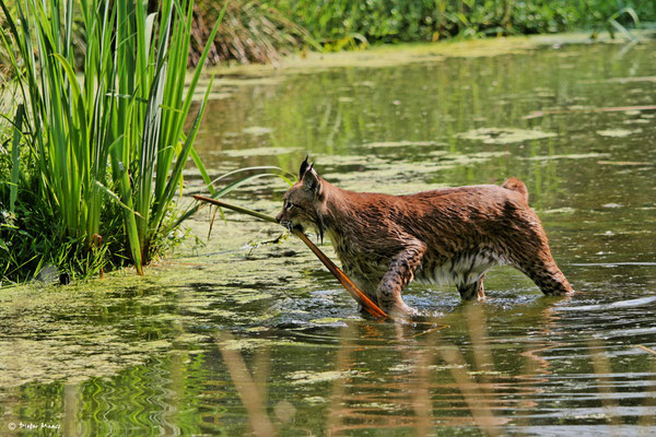 ZOOM Gelsenkirchen, 12:08.2010