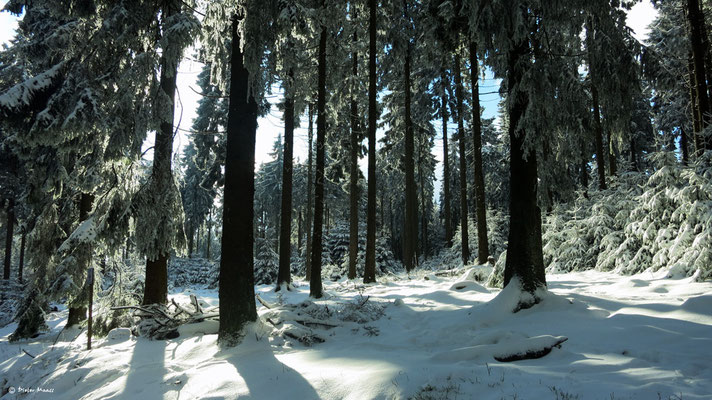 Feldberg 17. Januar 2016