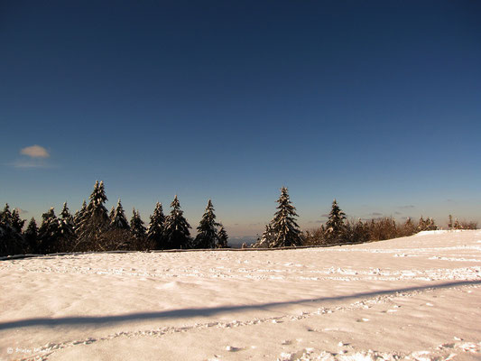 Feldberg Februar 2009