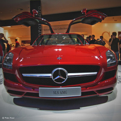 IAA 2009