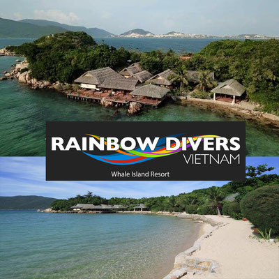 Rainbow Divers Whale Island Aerial of the Resort and its beautiful Beach