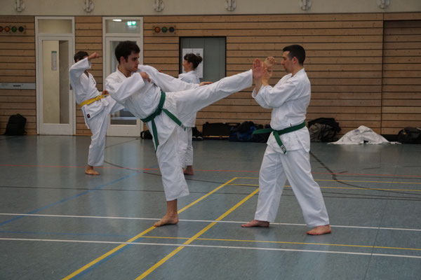 Wado and TSYR Seminar with Shimura and Threadgill in Berlin, 02/2026