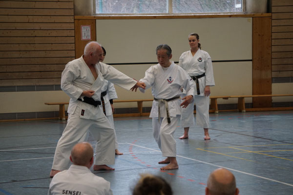 Wado and TSYR Seminar with Shimura and Threadgill in Berlin, 02/2026