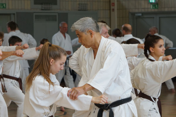 Wado-Pentecost Seminar 2019 in Berlin