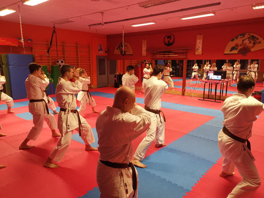 Wado Online Training with Christina Gutz