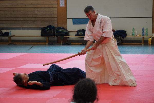 Wado and TSYR Seminar with Shimura and Threadgill in Berlin, 02/2026