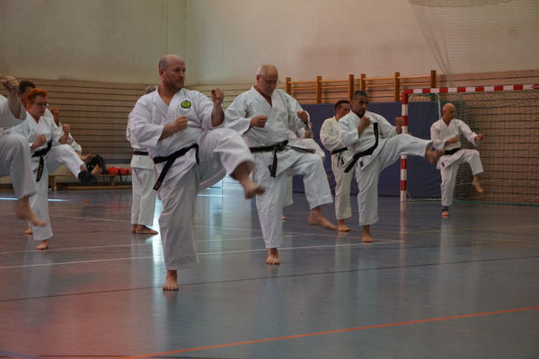 Wado Pentecost Seminar 2026 in Berlin