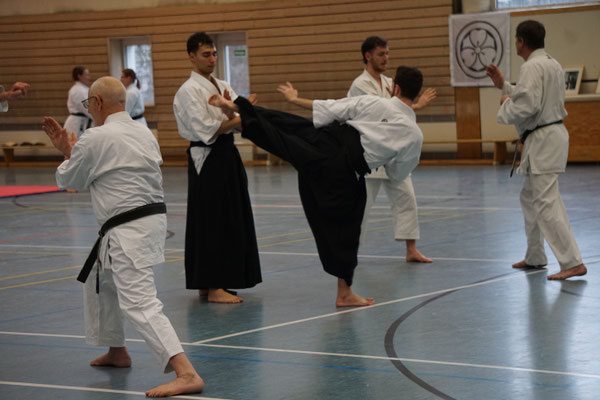 Wado and TSYR Seminar with Shimura and Threadgill in Berlin, 02/2026