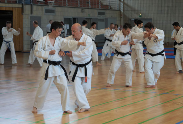 WADO AND TSYR FRIENDSHIP SEMINAR WITH TOBY THREADGILL (USA), SHUZO IMAI (GERMANY) AND TRAN HIEU MINH (FRANCE) ON 12TH AND 13TH MAY, 2018