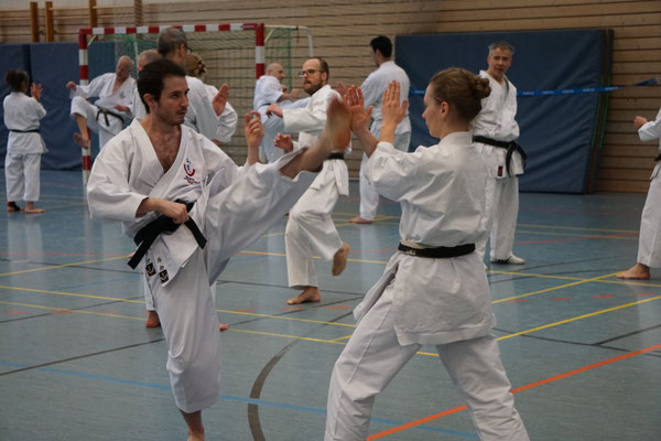 Wado and TSYR Seminar with Shimura and Threadgill in Berlin, 02/2026