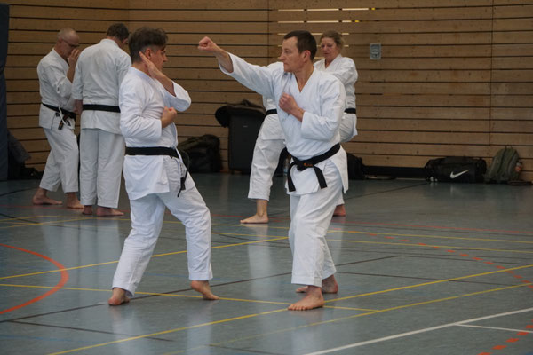 Wado and TSYR Seminar with Shimura and Threadgill in Berlin, 02/2026