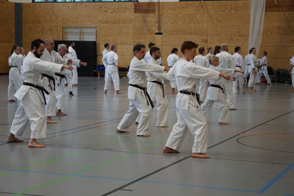 Wado Pentecost Seminar 2024 in Berlin