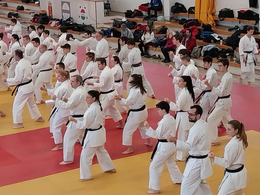 JKF Wado-Kai Course 28., 29.01.2023 led by Shuzo Imai and Christina Gutz in Budapest 