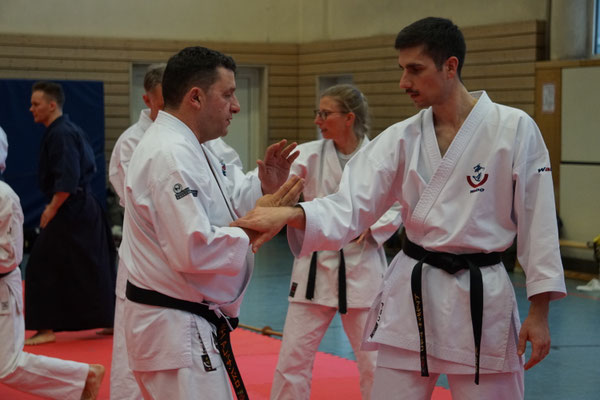 Wado and TSYR Seminar with Shimura and Threadgill in Berlin, 02/2026