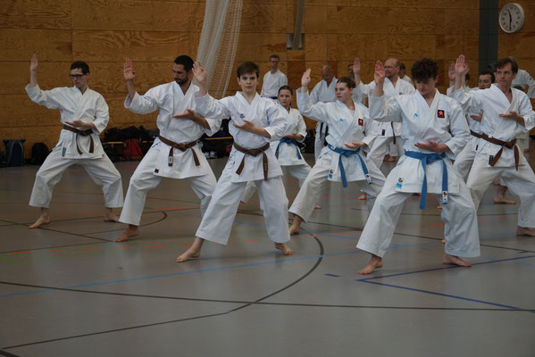 Wado Pentecost Seminar 2024 in Berlin