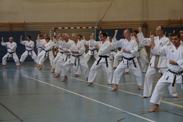 Wado and TSYR Seminar with Shimura and Threadgill in Berlin, 02/2026