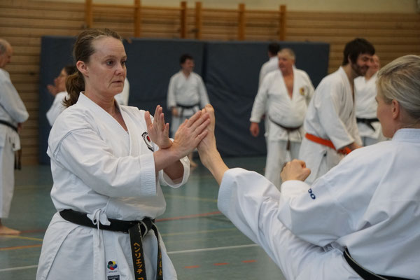 Wado and TSYR Seminar with Shimura and Threadgill in Berlin, 02/2026