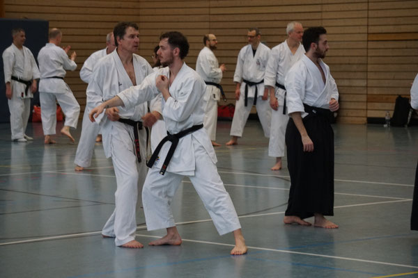 Wado and TSYR Seminar with Shimura and Threadgill in Berlin, 02/2026