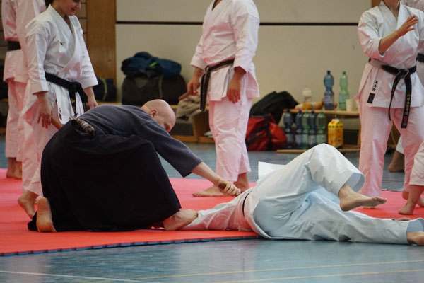 Wado and TSYR Seminar with Shimura and Threadgill in Berlin, 02/2026