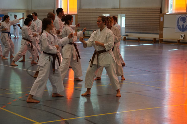 Wado Pentecost Seminar 2026 in Berlin