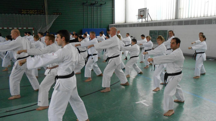 Wado Seminar with Toby Threadgill and Bob Nash 23 and 24 February 2013 in Berlin