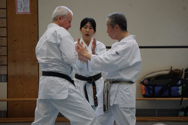 Wado and TSYR Seminar with Shimura and Threadgill in Berlin, 02/2026