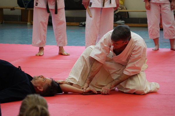 Wado and TSYR Seminar with Shimura and Threadgill in Berlin, 02/2026