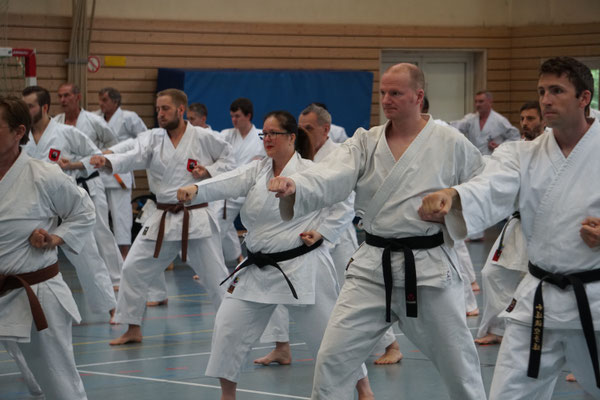 Wado Pentecost Seminar June 2022 in Berlin