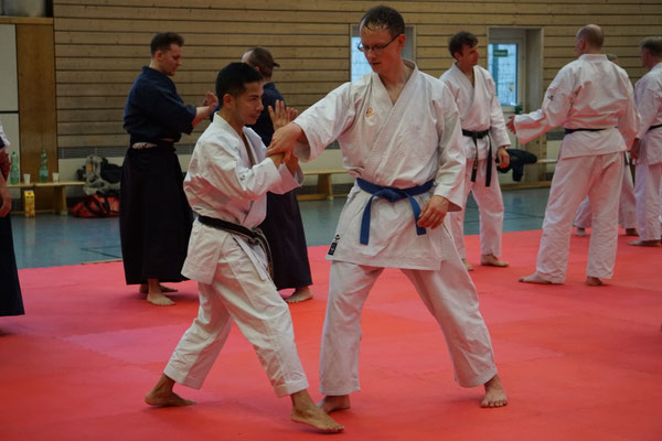 Wado and TSYR Seminar with Shimura and Threadgill in Berlin, 02/2026