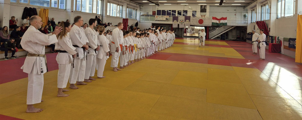 JKF Wado-Kai Course led by Shuzo Imai and Christina Gutz February 01 and 02, 2025 in Budapest