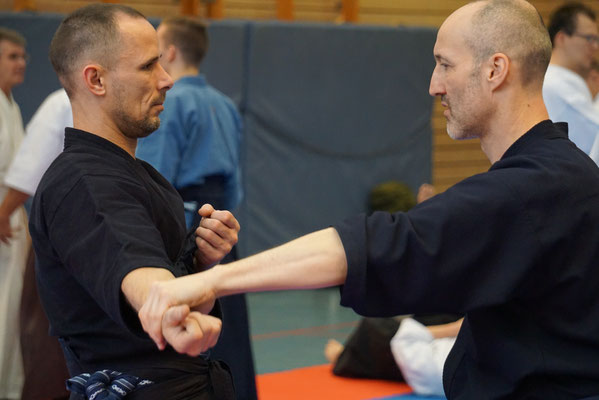 Wado and TSYR Seminar with Toby Threadgill and Koichi Shimura on 16 and 17 February 2020 in Berlin
