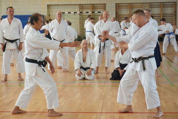 WADO AND TSYR FRIENDSHIP SEMINAR WITH TOBY THREADGILL (USA), SHUZO IMAI (GERMANY) AND TRAN HIEU MINH (FRANCE) ON 12TH AND 13TH MAY, 2018