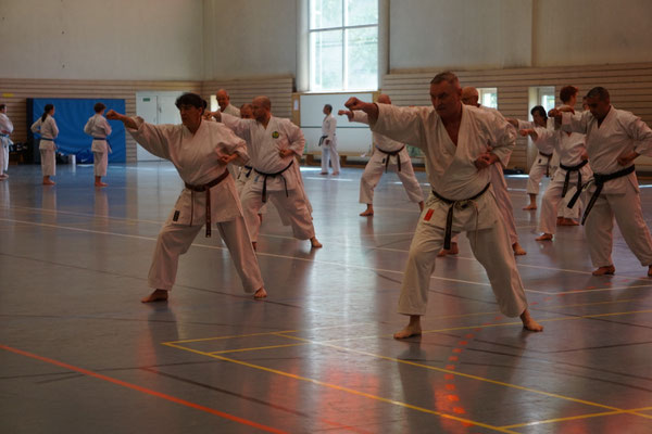 Wado Pentecost Seminar 2026 in Berlin