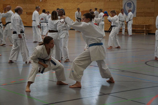 Wado Pentecost Seminar 2024 in Berlin