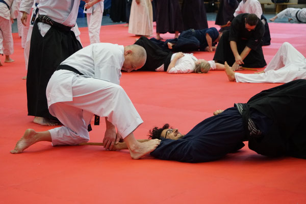Wado and TSYR Seminar with Shimura and Threadgill in Berlin, 02/2026