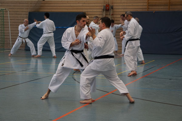 Wado and TSYR Seminar with Shimura and Threadgill in Berlin, 02/2026