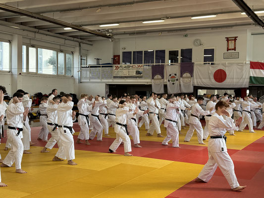 JKF Wado-Kai Course 17., 18.02.2024 led by Shuzo Imai and Christina Gutz in Budapest