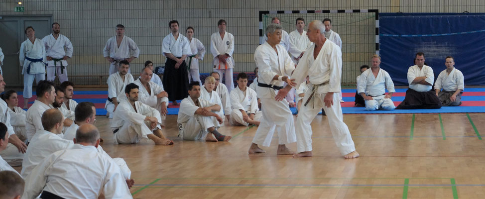 WADO AND TSYR FRIENDSHIP SEMINAR WITH TOBY THREADGILL (USA), SHUZO IMAI (GERMANY) AND TRAN HIEU MINH (FRANCE) ON 12TH AND 13TH MAY, 2018