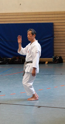 Wado and TSYR Seminar with Toby Threadgill and Koichi Shimura on 18 and 19 February 2017 in Berlin