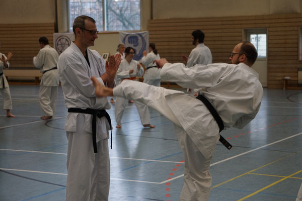 Wado and TSYR Seminar with Shimura and Threadgill in Berlin, 02/2026