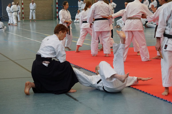 Wado and TSYR Seminar with Shimura and Threadgill in Berlin, 02/2026